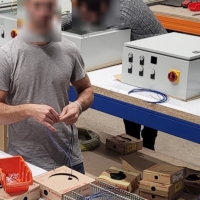 Electrician from Poland